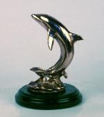 SmallDolphin1